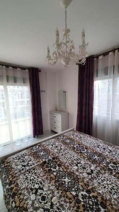 אליקאנטה Villa Luxury - Private Pool - Wifi - Solarium מראה חיצוני תמונה